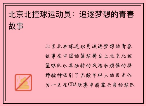 北京北控球运动员：追逐梦想的青春故事
